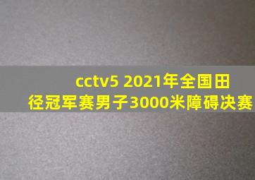 cctv5 2021年全国田径冠军赛男子3000米障碍决赛